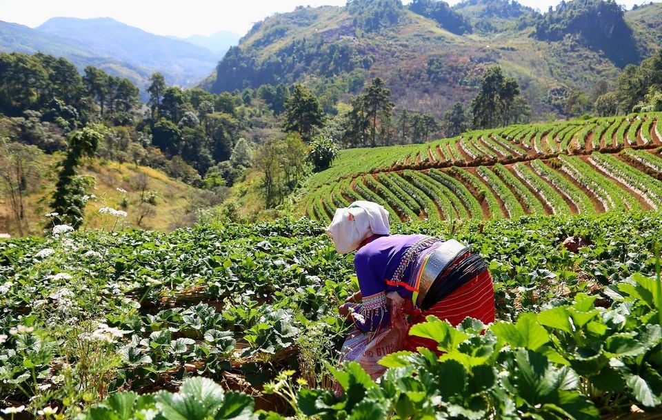 ebc99a5e-1f88-47a8-a6d3-467340965ce5