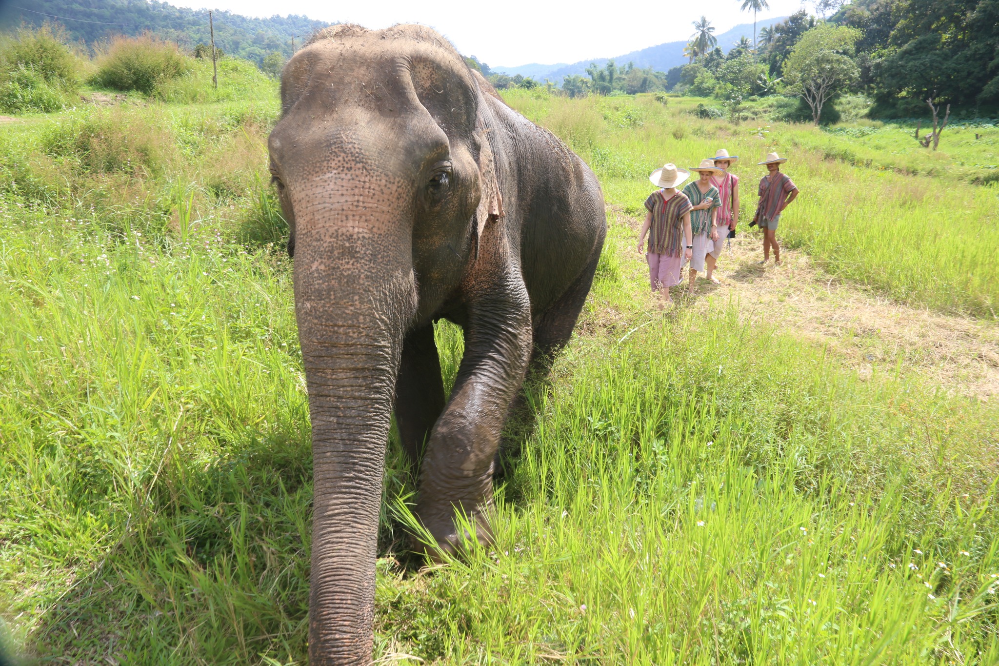 400702363_10161902910149066_7570705773877072709_n