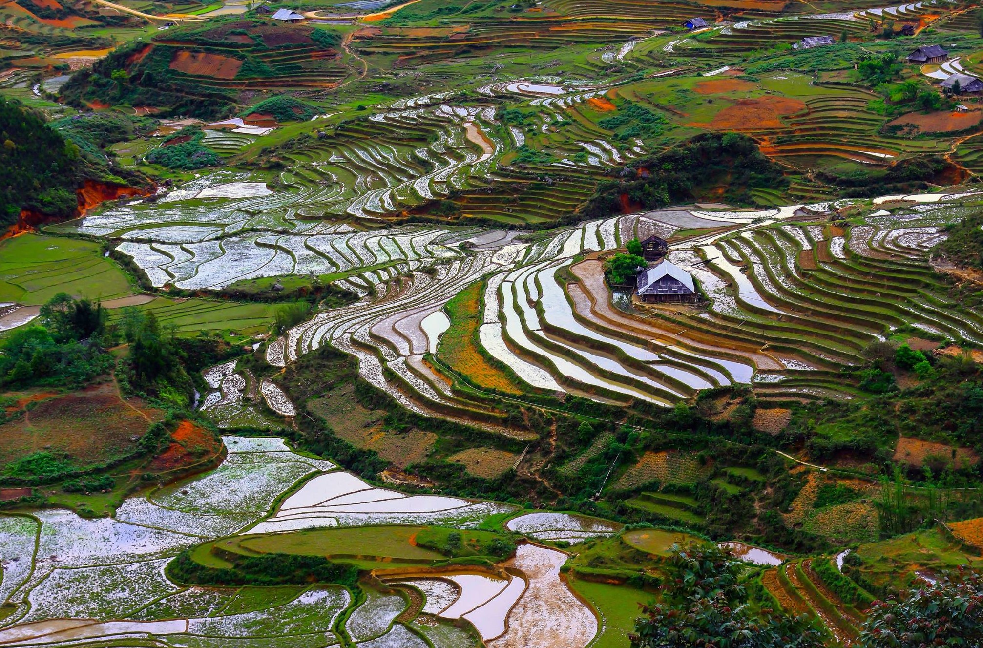 442483679_10162211287569066_919868785438836170_n