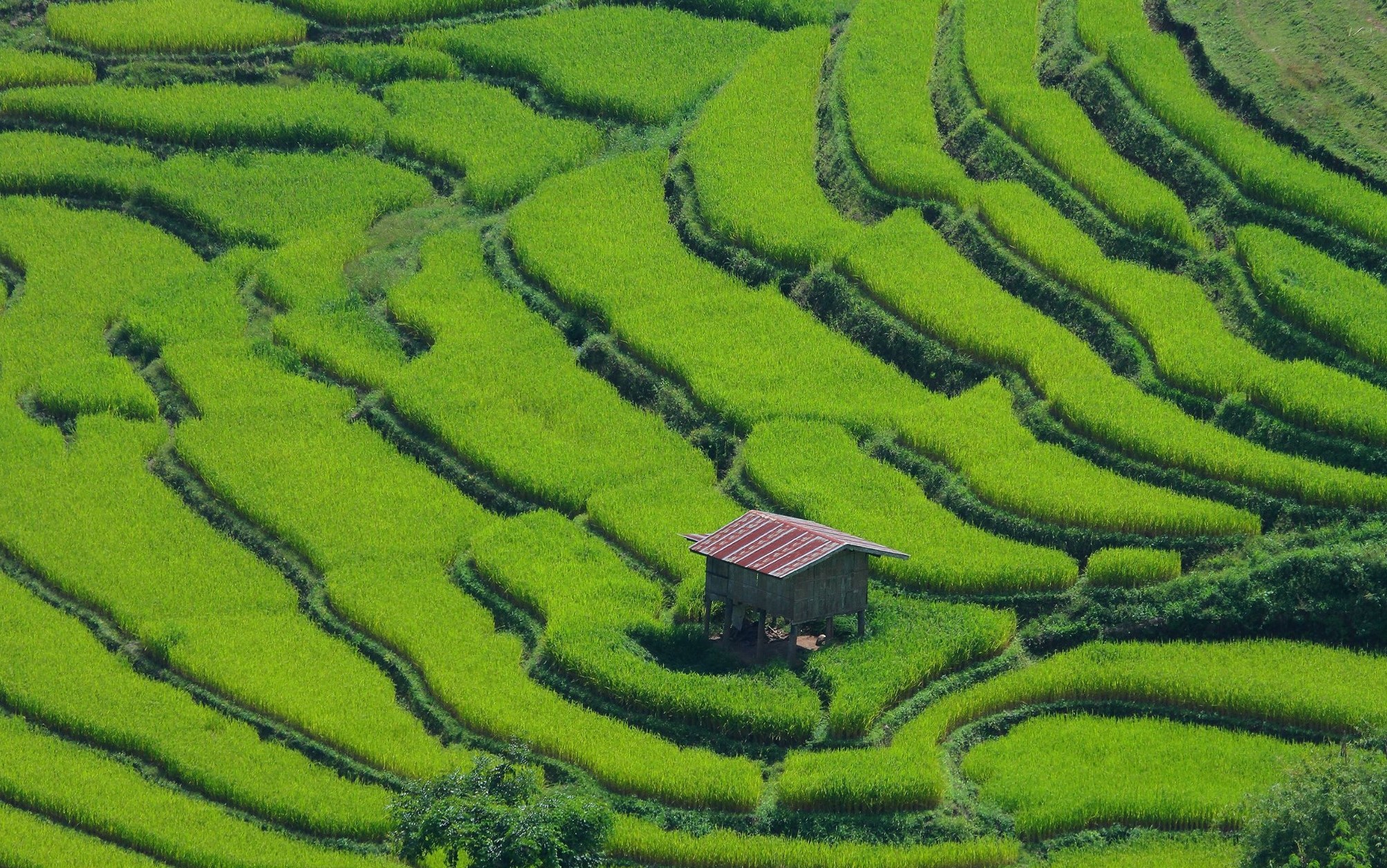 449066884_10162301570019066_44768754000798176_n