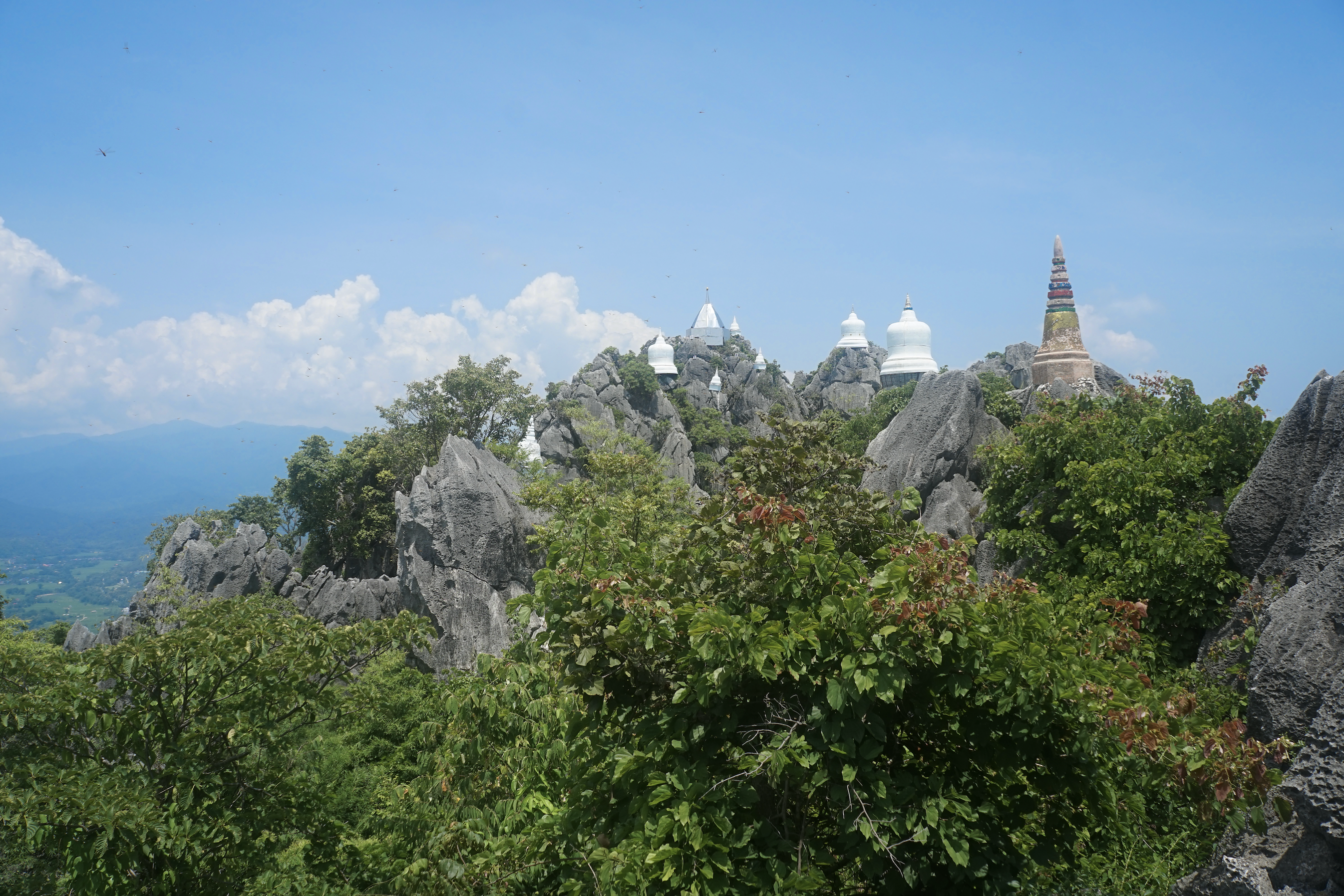 Capture d’écran 2025-04-07 à 16.47.36